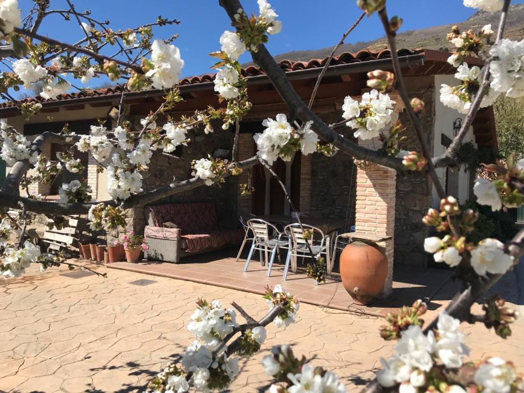 Casa Rural La Picotina Navaconcejo Extérieur photo