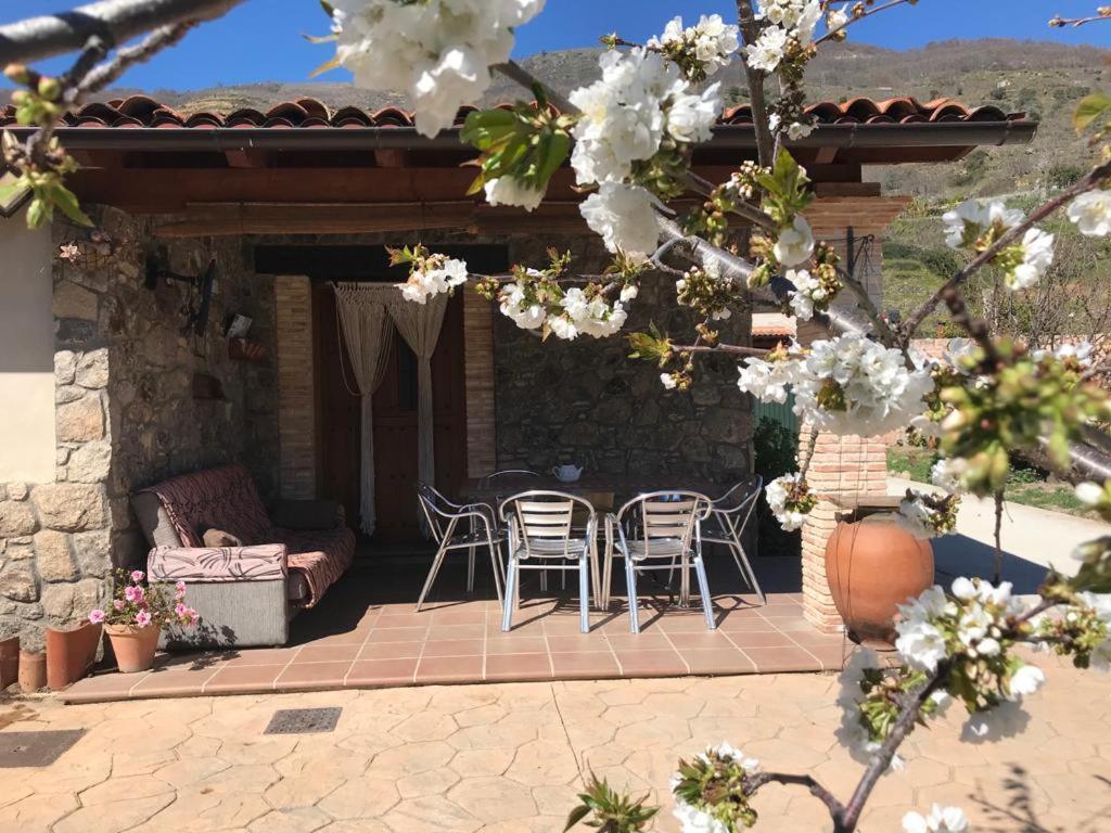 Casa Rural La Picotina Navaconcejo Extérieur photo