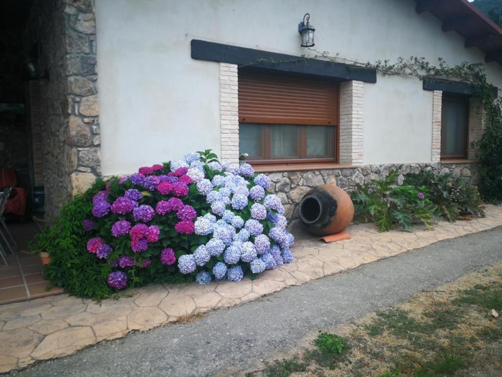 Casa Rural La Picotina Navaconcejo Extérieur photo